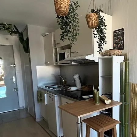 Les Cocotiers Vue 250 M De Agde