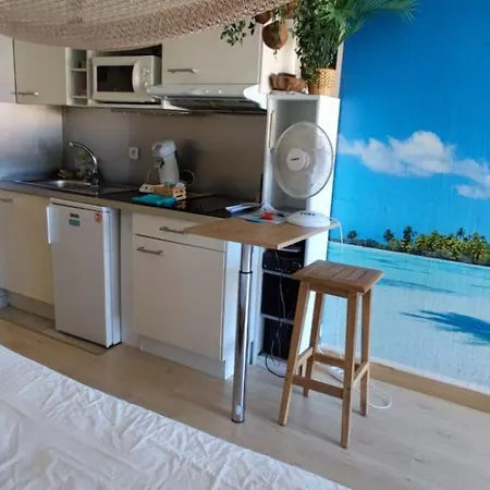 Apartament Les Cocotiers Vue 250 M De *