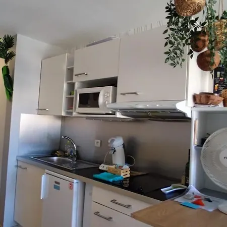 Les Cocotiers Vue 250 M De Apartament Agde