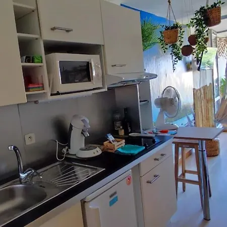 Apartmán Les Cocotiers Vue 250 M De *