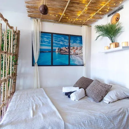 Appartement Les Cocotiers Vue 250 M De